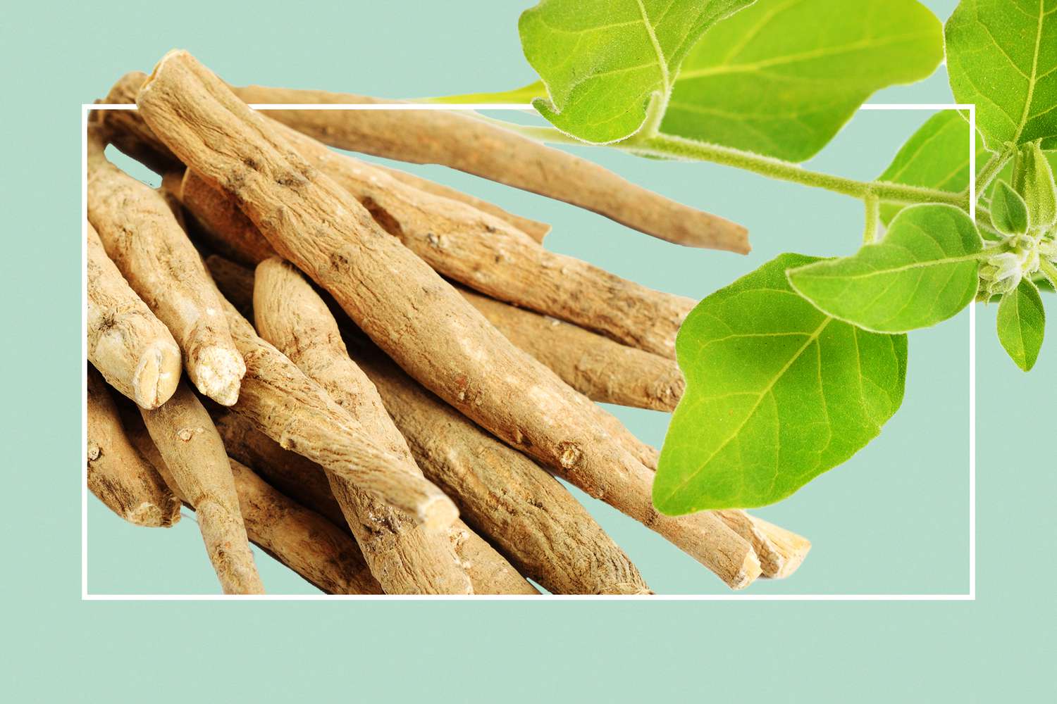 ASHWAGANDHA