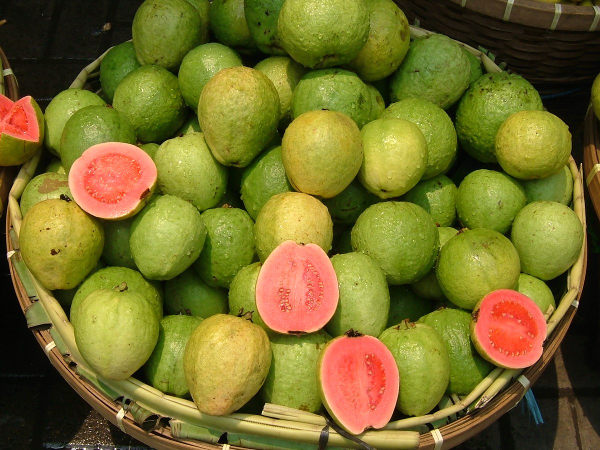 GUAVA