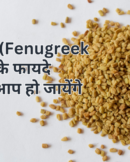 मेथी दाने (Fenugreek seeds) के फायदे जानकर आप हो जायेंगे हैरान